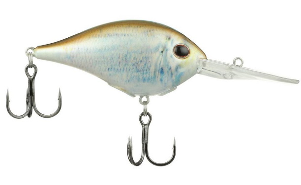 Berkley Dime