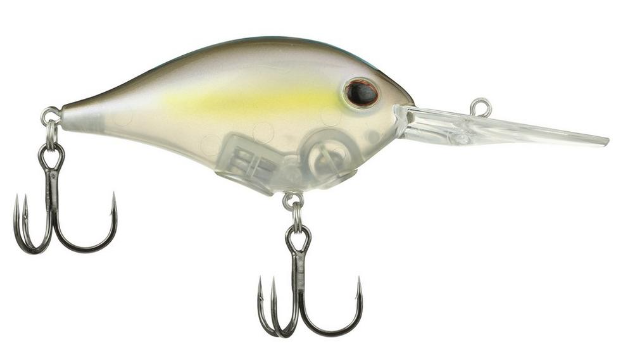 Berkley Dime