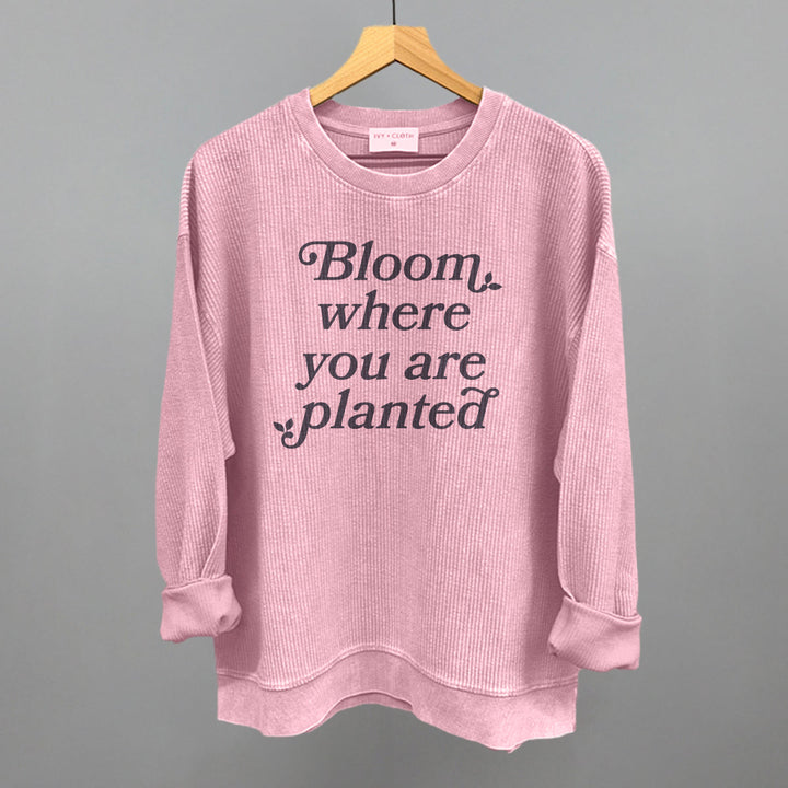 Bloom Where You Are Planted