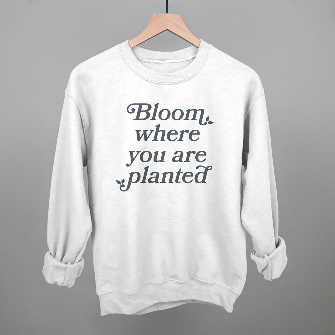 Bloom Where You Are Planted