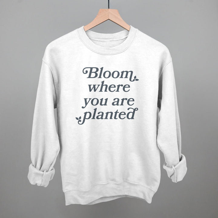 Bloom Where You Are Planted