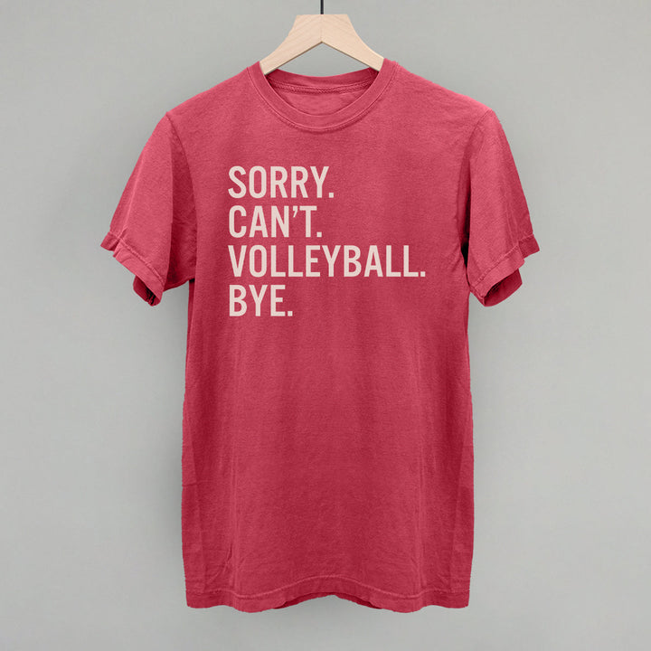 Sorry Can't Volleyball Bye