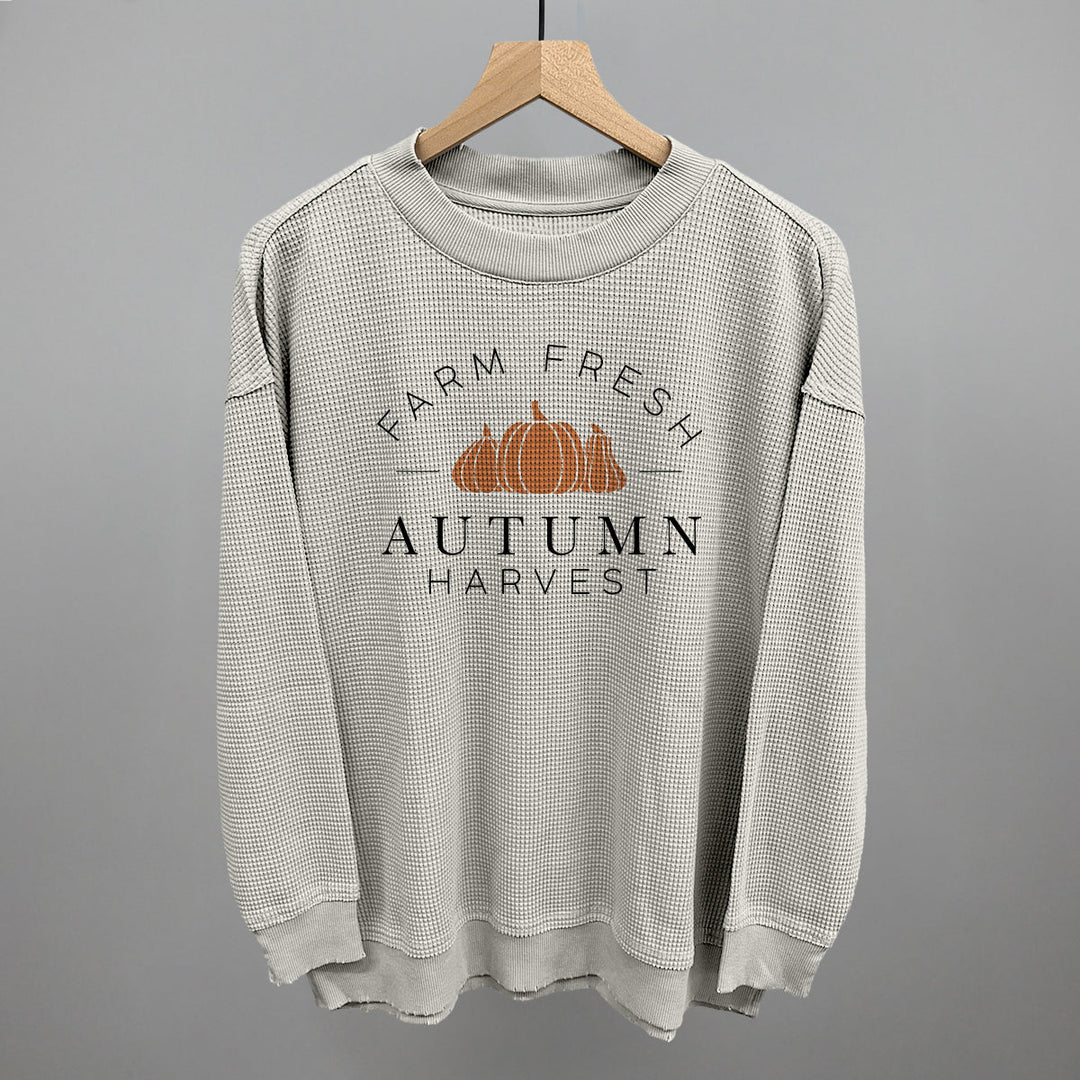 Autumn Harvest