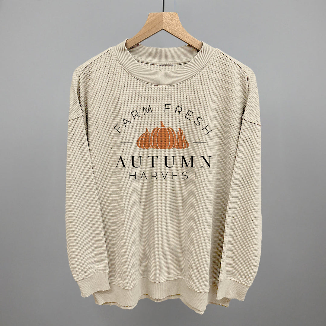 Autumn Harvest