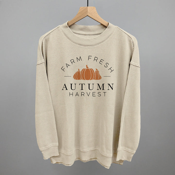 Autumn Harvest