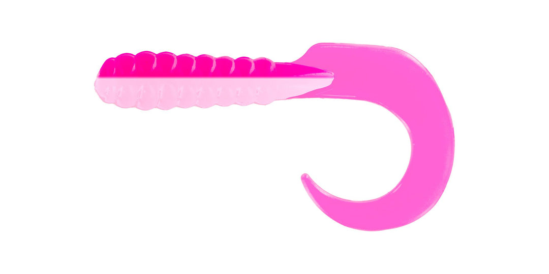 Curl Tail Grub