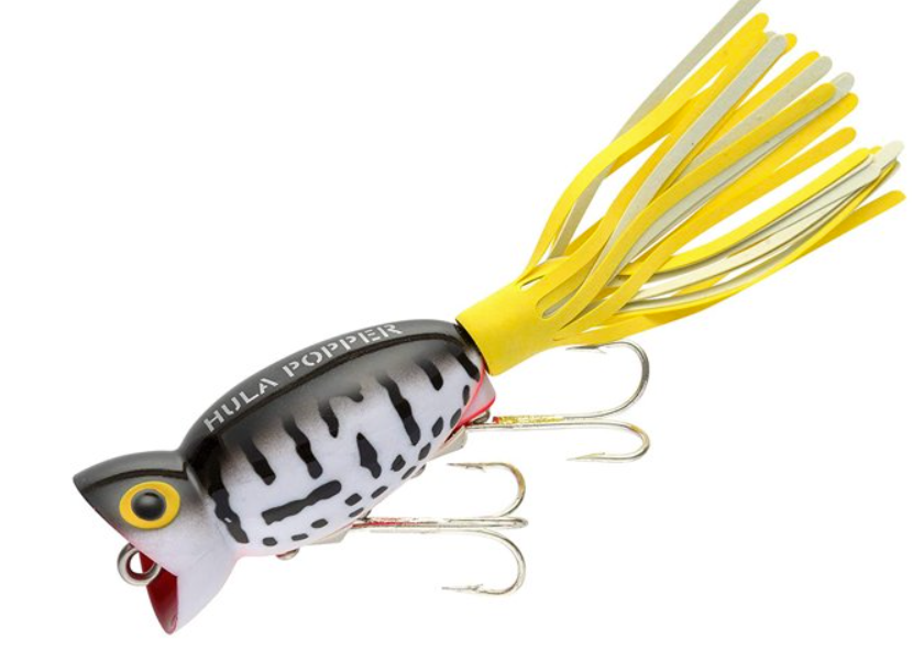 Arbogast Hula Popper 5/8 oz Fishing Lure - Coach Dog/Orange Belly