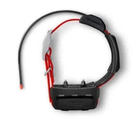 Garmin TT15x GPS Collar